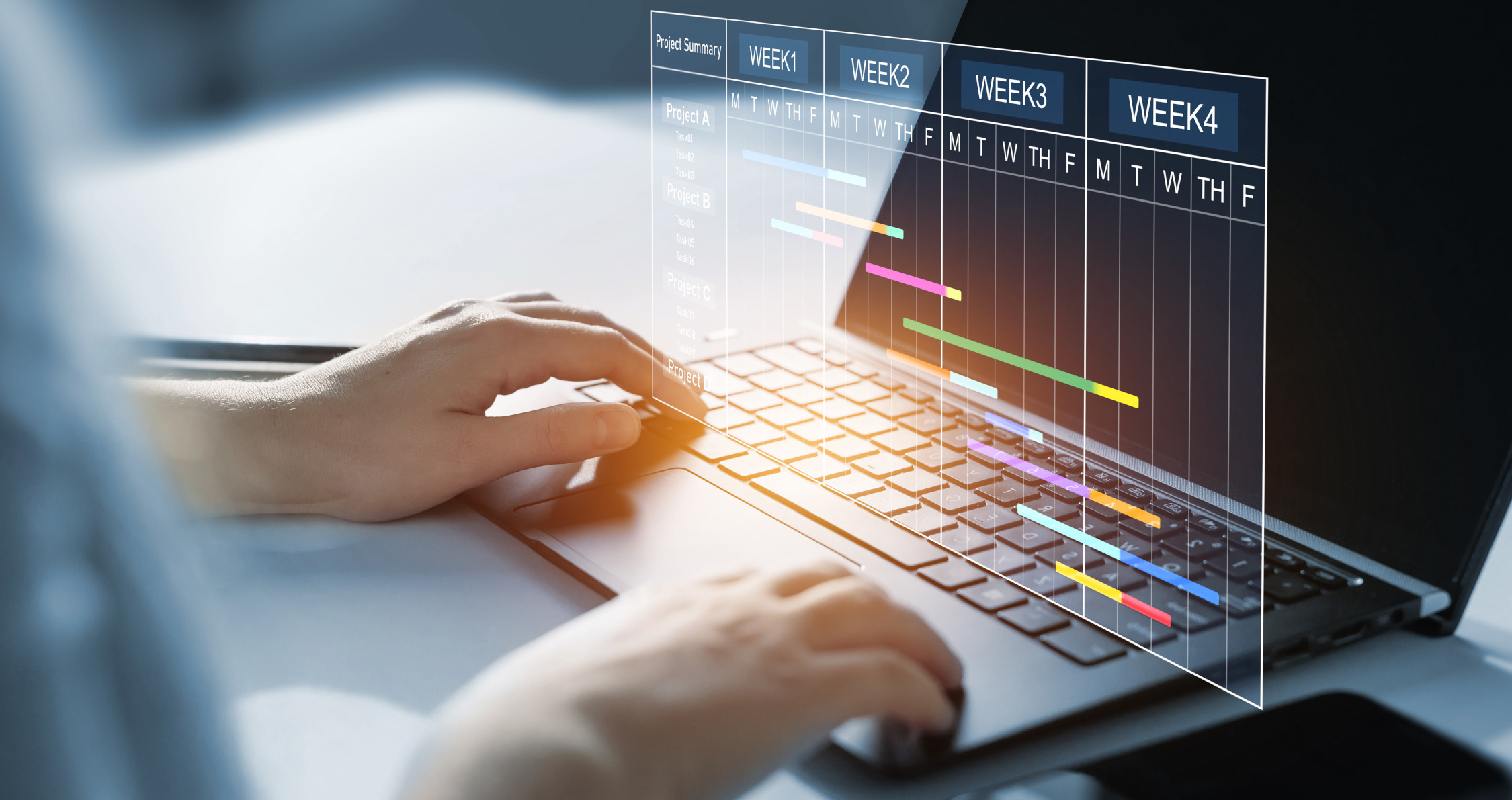 Steel Project Management Services